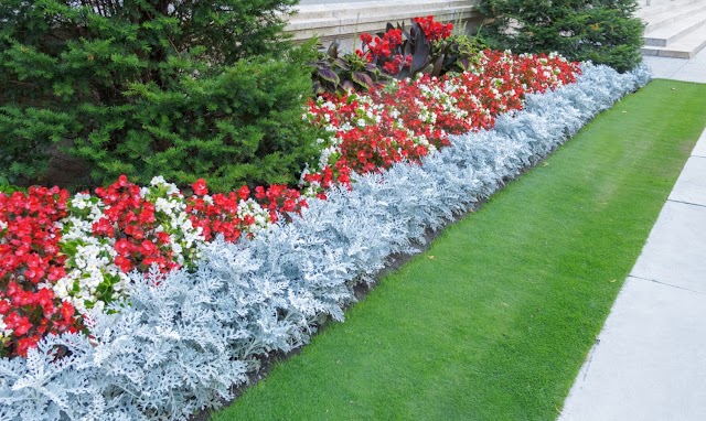 Garcia Pinestraw And Lawn Care photo 2