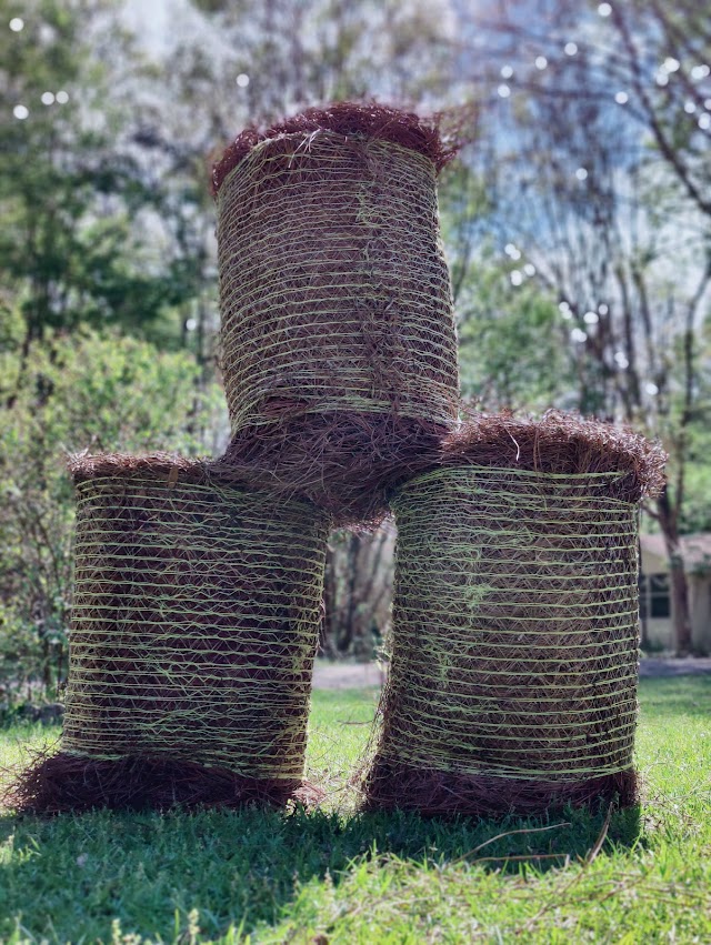 Garcia Pinestraw And Lawn Care photo 3