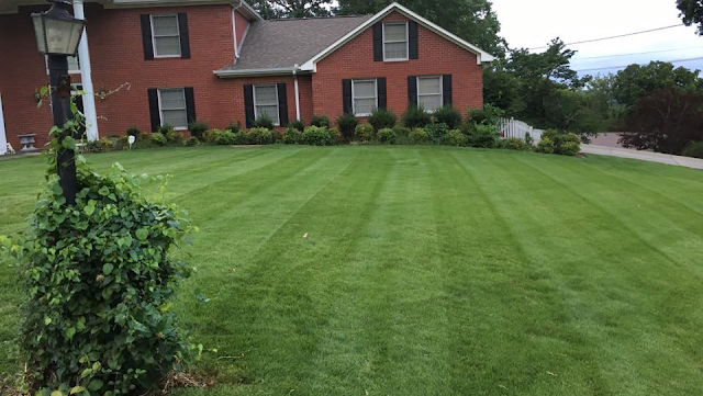 Grass Life USA photo 4