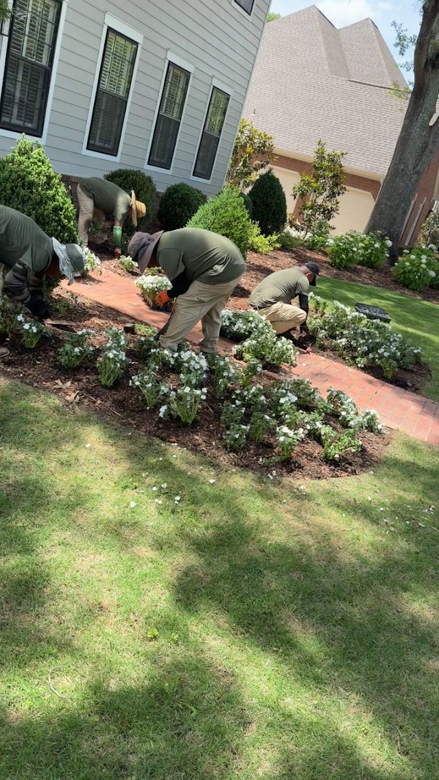 Green Matters Lawn & Landscaping photo 3