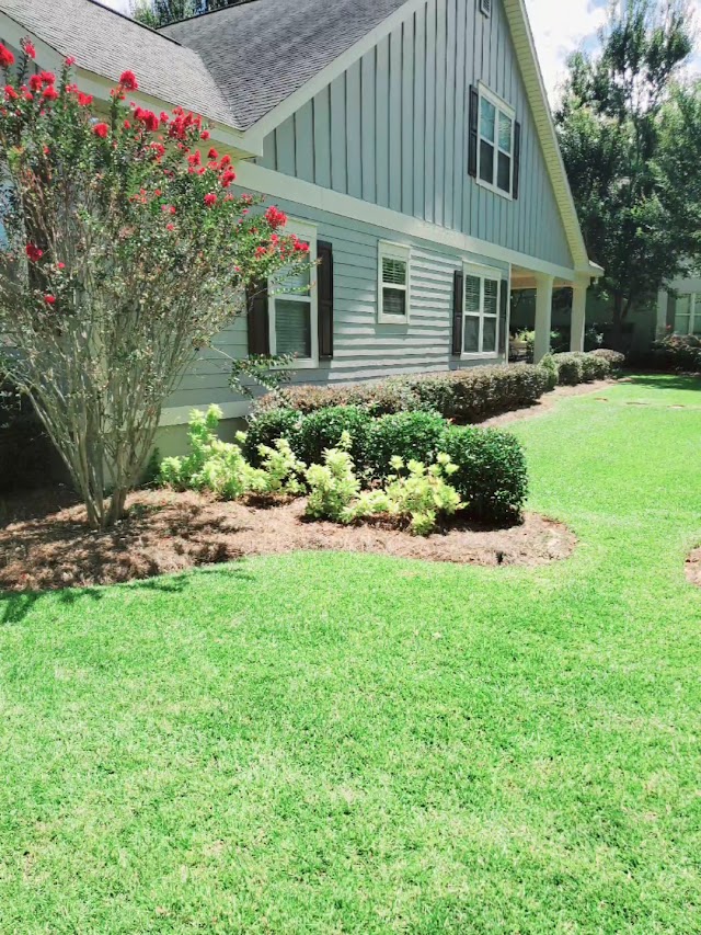 Greengo's Lawn Service LLC photo 3