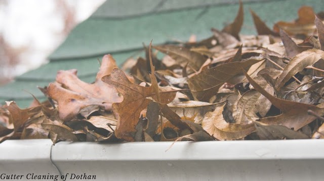 Gutter Cleaning of Dothan