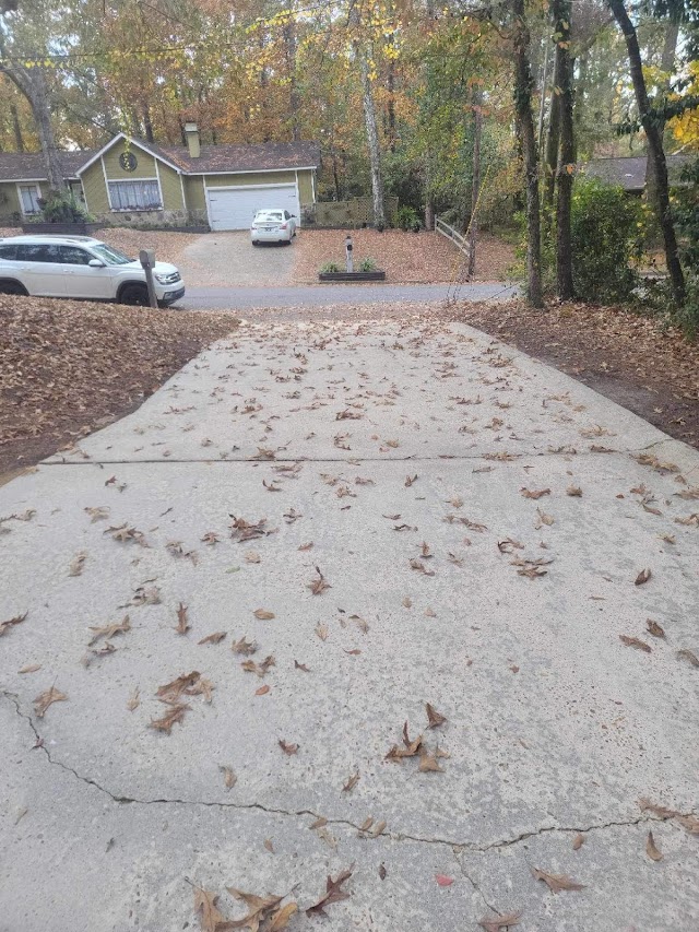 Gutter Cleaning of Dothan photo 4