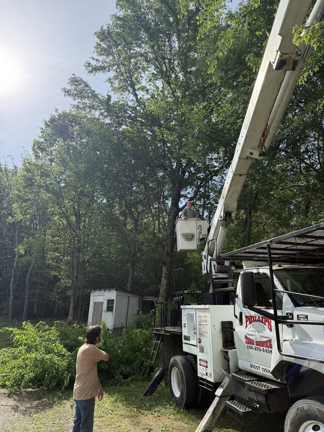 Harper's Tree Service LLC photo 4