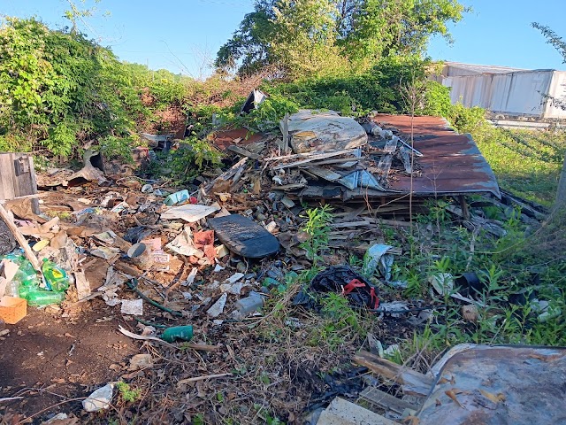 HEWS CLEANOUT SERVICE