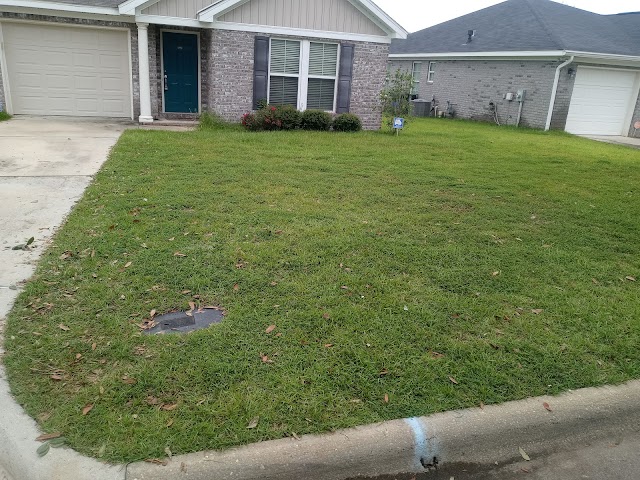 HEWS CLEANOUT SERVICE photo 2