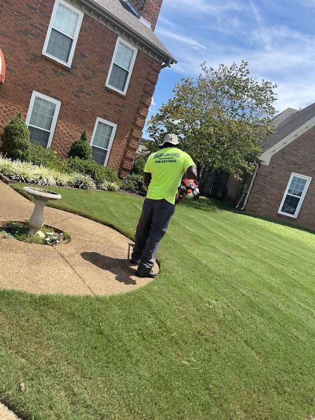 Holland lawncare photo 2