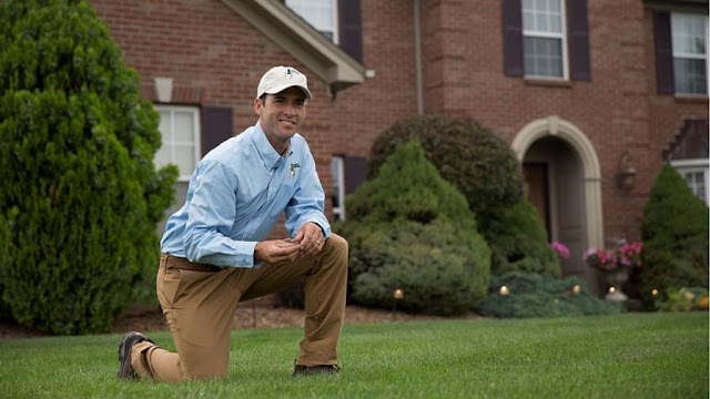 Holland lawncare photo 4