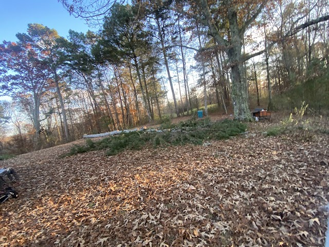 Jeff's Tree Service photo 4