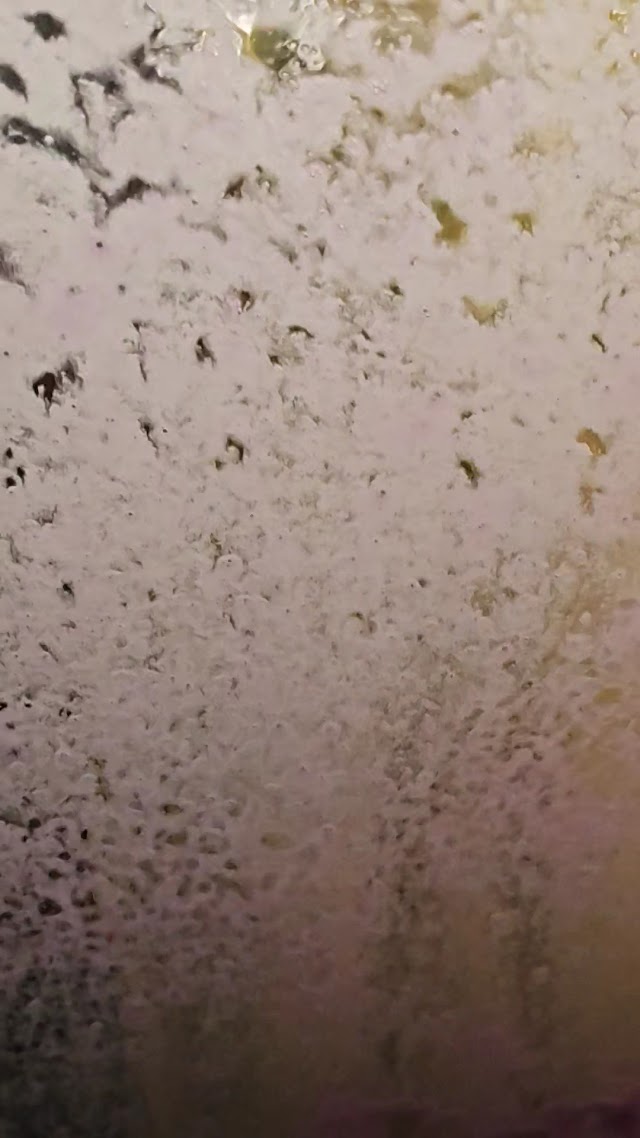 JetX Express Car Wash photo 3