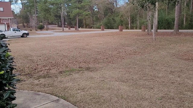 Keep clean lawn service and Landscaping/ Triple t landscaping management llc photo 3