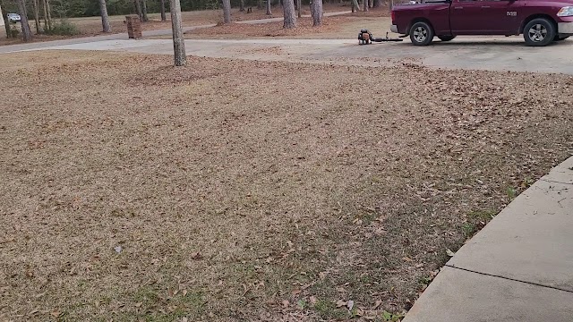 Keep clean lawn service and Landscaping/ Triple t landscaping management llc photo 4