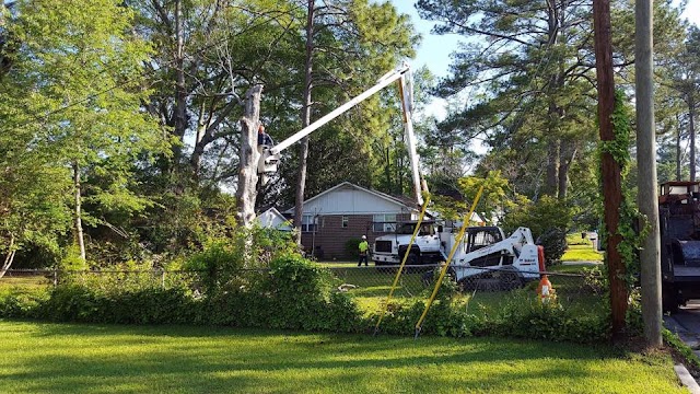 Keith's Tree Service