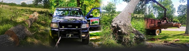 Keith's Tree Service photo 2