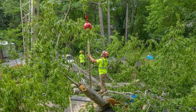 Kevin's Tree Service, LLC