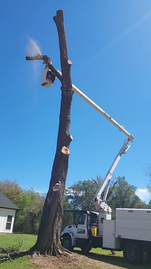 Kw & Fry Tree Service