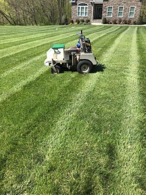 Lawn Doctor of Gadsden photo 2