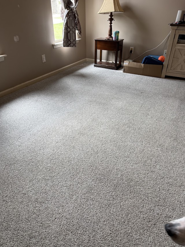 LocalPro Carpet Cleaning of Birmingham photo 2
