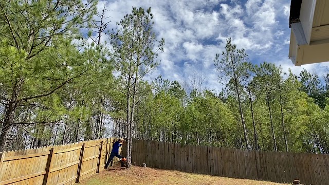 Log and Leaf Tree Service photo 3