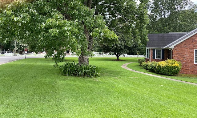 Mcnair Lawn Pros LLC photo 2
