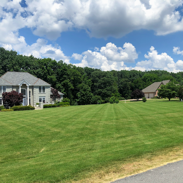 Meadow Landscaping and Lawn Care photo 4