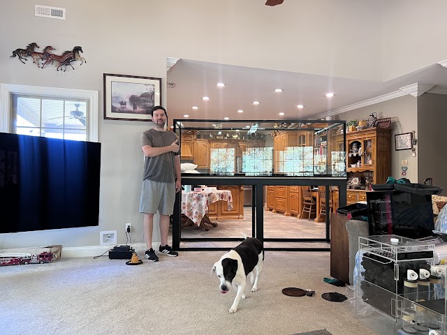 Miracle Movers LLC photo 2