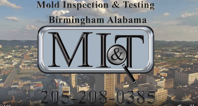 Mold Inspection & Testing Birmingham AL