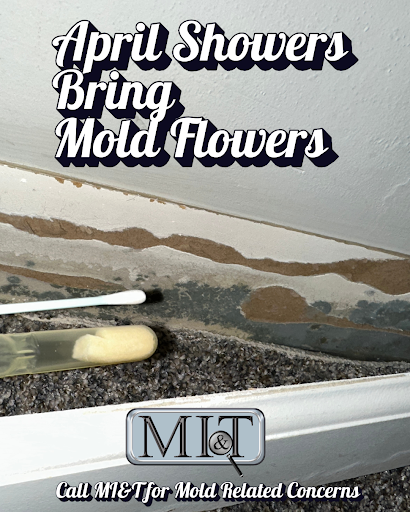 Mold Inspection & Testing Birmingham AL photo 4