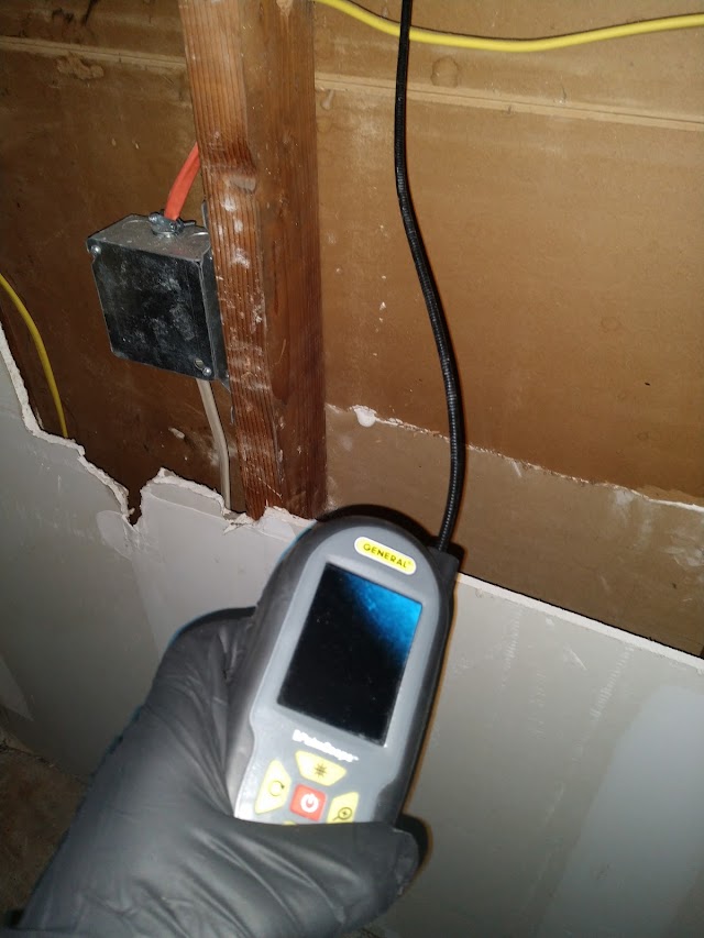 Mold Testing Services photo 2