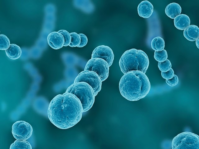 Mold Testing Services photo 4