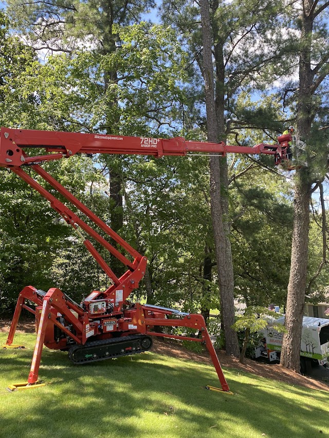 Monster Tree Service of Birmingham