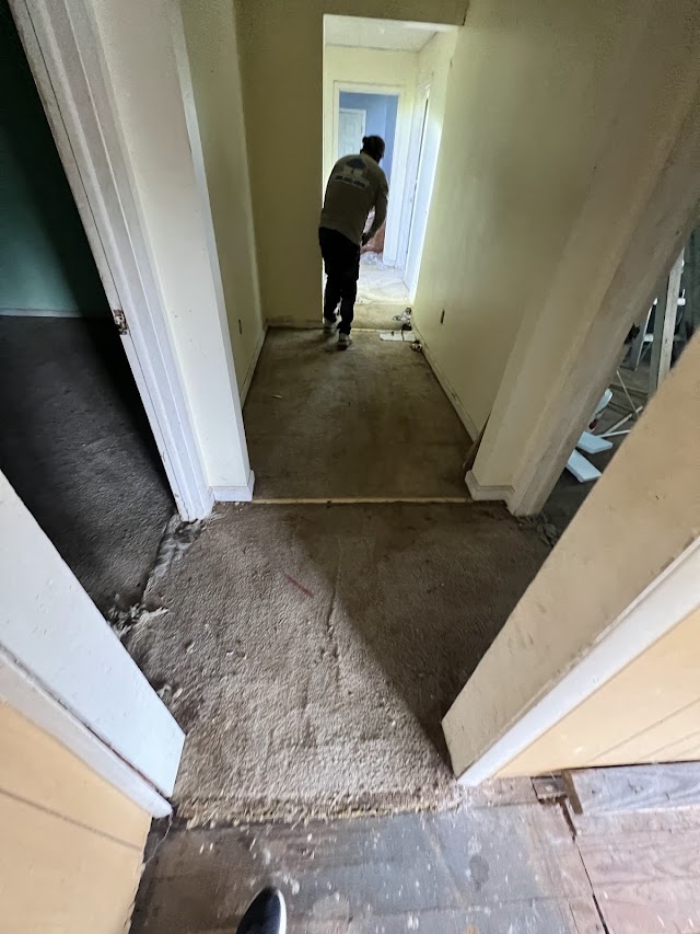 Mr. Hernandez Crawlspace crawlspace repair &waterproofing photo 4