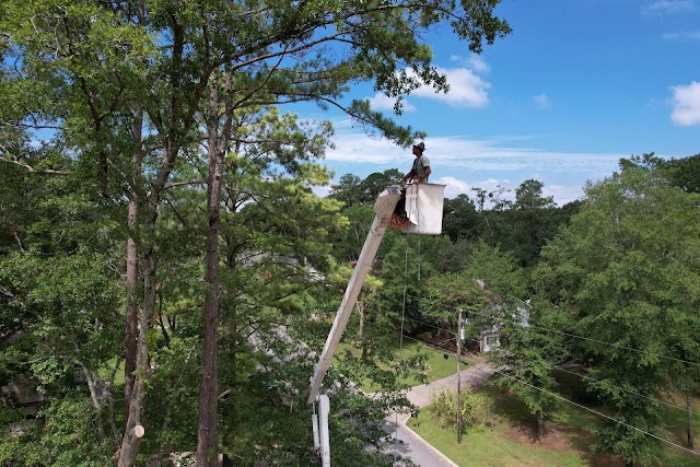 Myers Tree Service photo 2