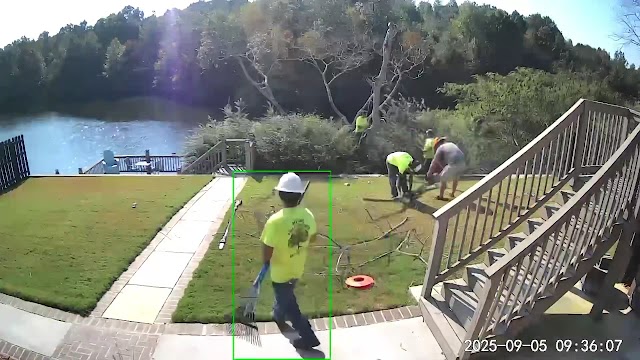 Myers Tree Service photo 3