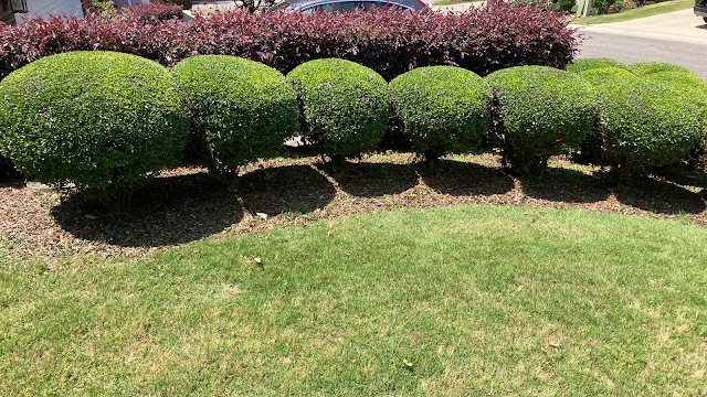Newton Lawn Services