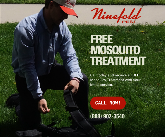 Ninefold Pest photo 3