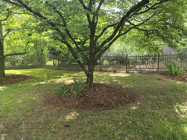 One Stop Landscaping photo 2