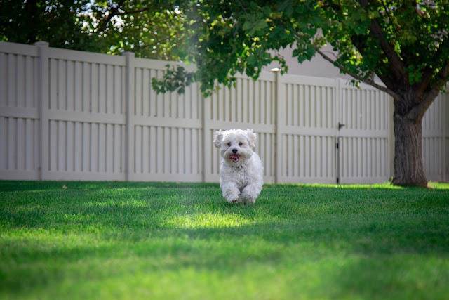 OneGuard Fencing