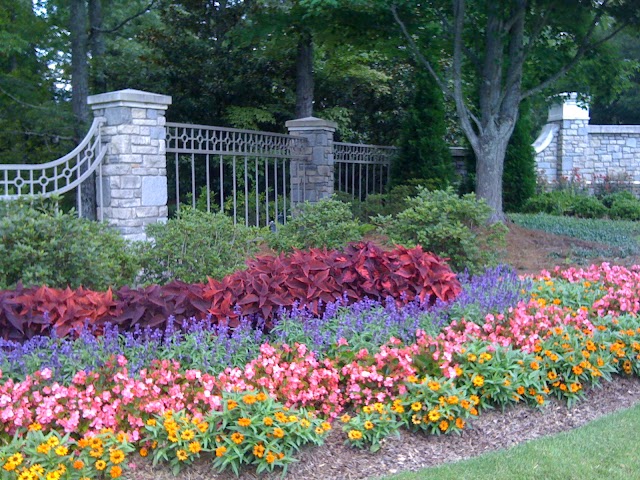 Outdoor Living Areas photo 4