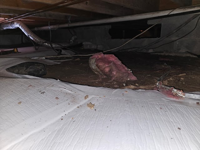 Ox Foundation Solutions photo 2