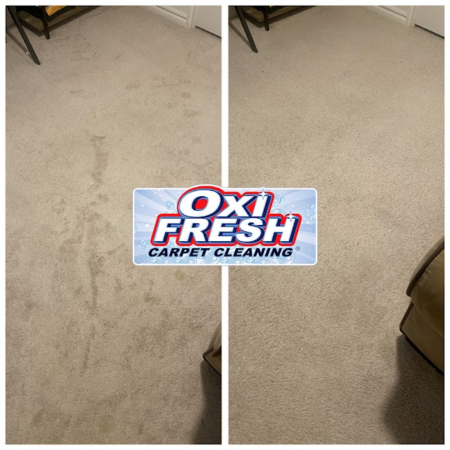 Oxi Fresh Carpet Cleaning photo 4