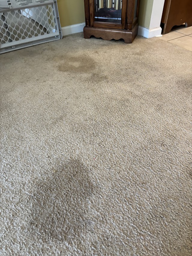 Performance Carpet Cleaning & Restoration Services