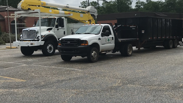 Pitts Tree Service