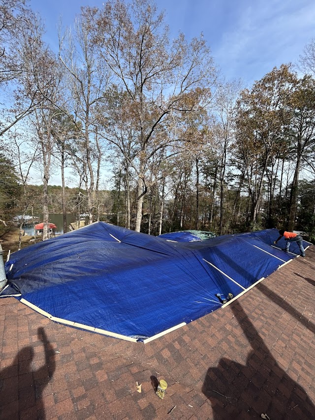 Pitts Tree Service photo 2