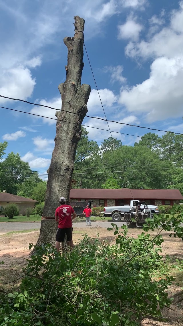 Pitts Tree Service photo 3