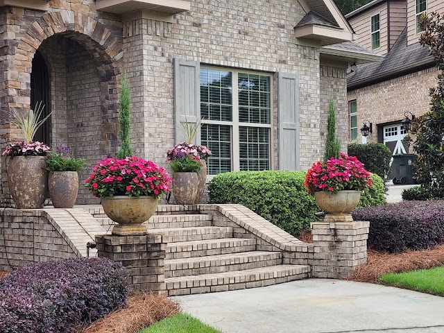 Premium Petals Landscape