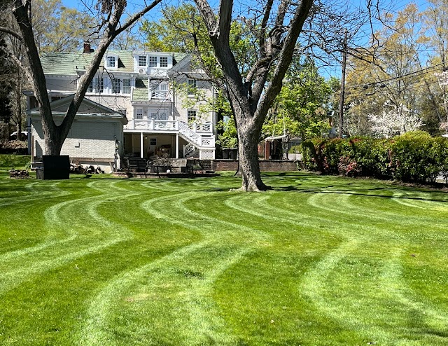 Pristine Lawn LLC