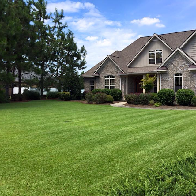 Pristine Lawn LLC photo 4