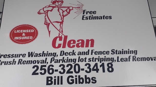 Pro Clean Services