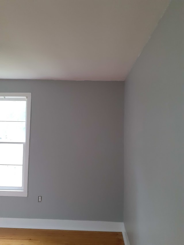 Pro Clean Services photo 2